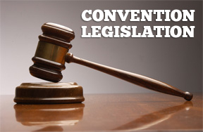 convention legislation