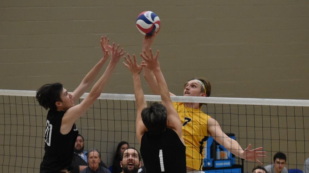NAIA - Men's Volleyball - Attacker of the Week - Mount Mercy (Iowa) - Ben Steffen