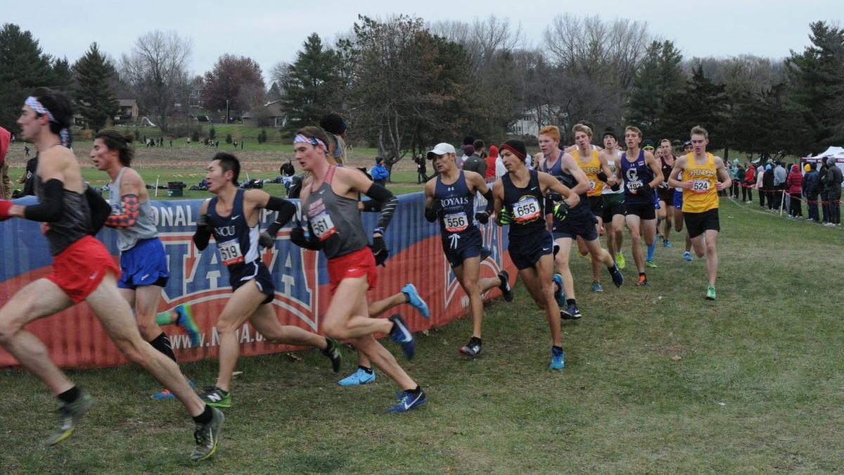 NAIA - Men's Cross Country - Championship Preview